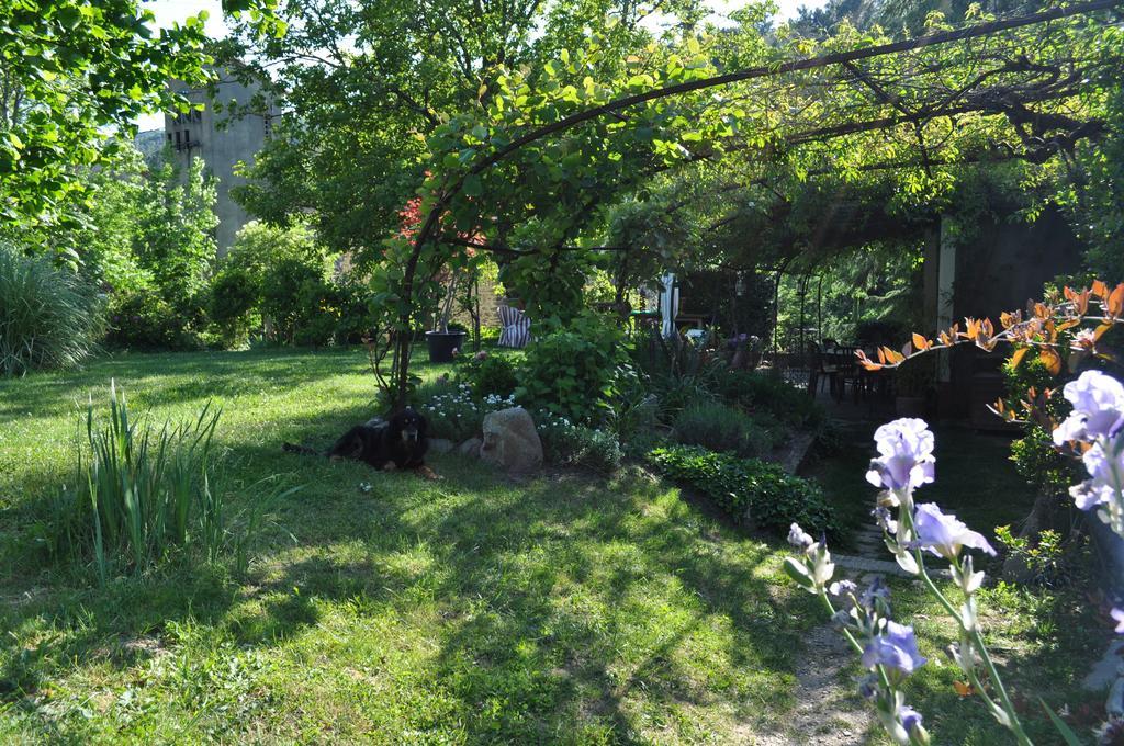 Bed and Breakfast La Ribeyrette Chamborigaud Exterior foto